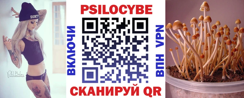 Галлюциногенные грибы Psilocybine cubensis  дарнет шоп  Чкаловск 